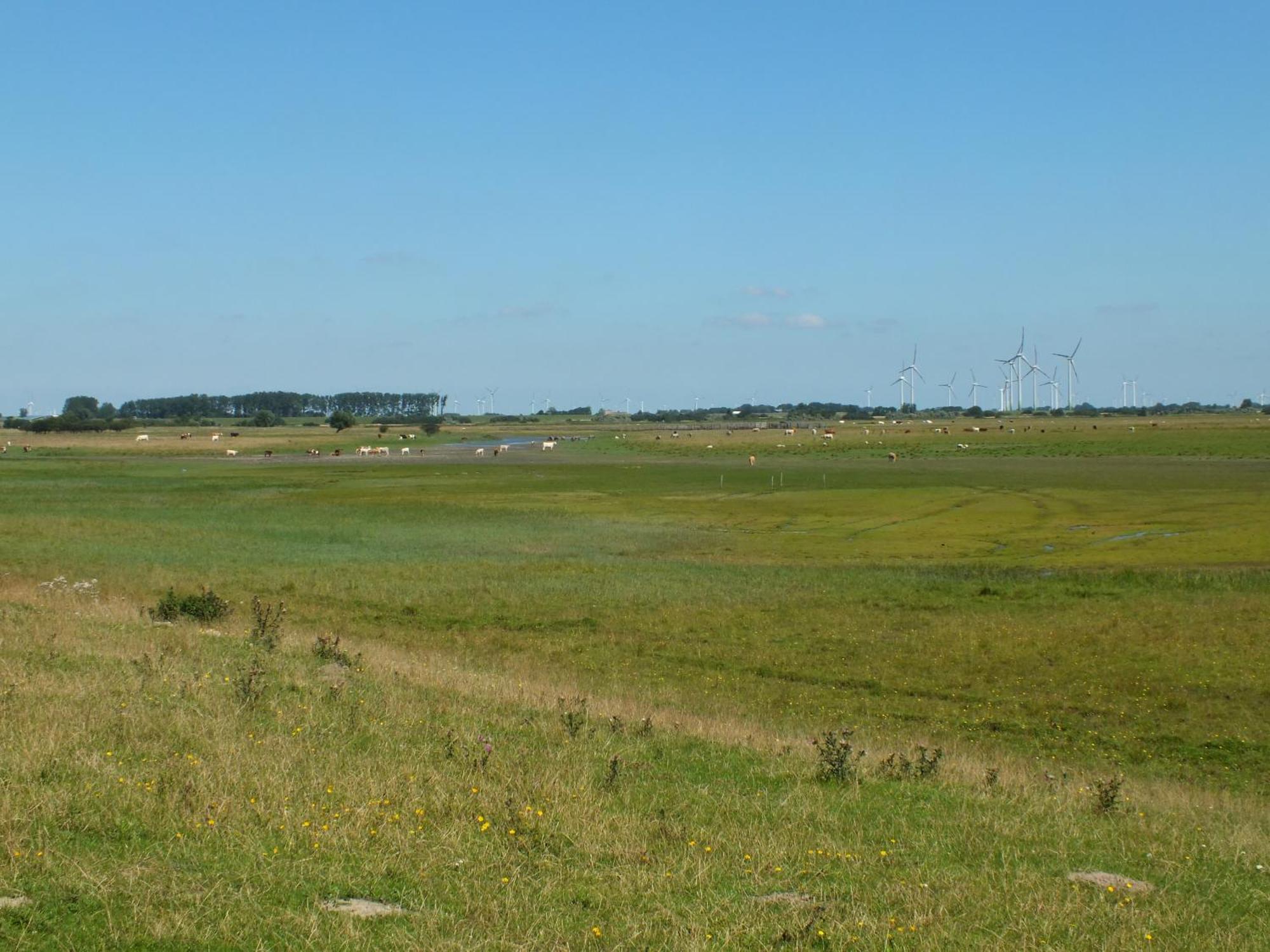 Ferienwohnung In Osterdeichstrich Oesterdeichstrich Exteriör bild
